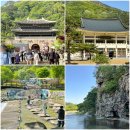 문경새재 상징문~문경새재 제3주차장 가로수길 | 경북 문경 가볼만한곳 문경새재 도립공원 오픈세트장 가는길 킹덤 옷소매붉은끝동 촬영지