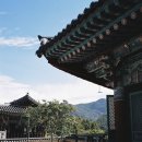 은평-008 | 008: 네츄라 클래시카 &amp; 후지 C200