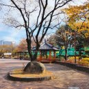 감삼못공원 이미지