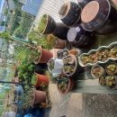 호도보건진료소 이미지