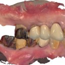 다온치과기공소 이미지