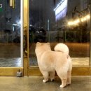 멍분의 멍 이미지