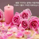 소피스트 이미지