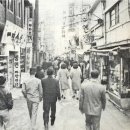 명동팻션
