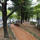 그린메디칼 이미지