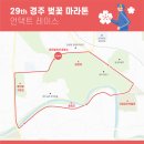 더레드커뮤니케이션즈