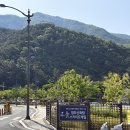 청도 스카이트레일 | 아이랑 체험 신화랑풍류마을 유아 짚라인 가격 예약 꿀팁