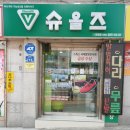 슈올즈 괴정점 이미지