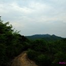 배내무등골길 이미지