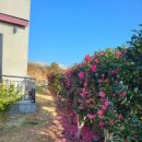 윤서네 해피하우스 이미지