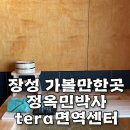 정옥민 박사 테라 면역 센터 | 장성 가볼만한곳 [정옥민박사tera 면역센터] 자쿠지탕에서 힐링
