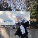 캠퍼조인