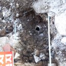 중정로91번길 이미지