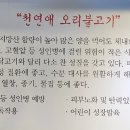 천연애 경산점 이미지
