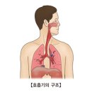 서와 이미지