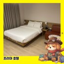 프리마모텔 | 부산 프리마 호텔 숙박 후기 – 김해국제공항 아침 비행기 전날 숙소로 최적의 선택