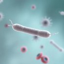 (주)플러스랩에스 이미지