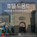 담양수퍼 | 담양여행숙소 호텔 드몽드 후기, 담양부모님여행숙소로도 추천