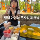 평택 아이와 가볼만한곳 내리문화공원 놀이터 돗자리 피크닉 후기