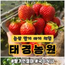 태경농원 이미지