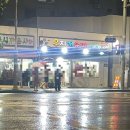 소용반점 이미지