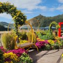 단양보건소 건너편 이미지