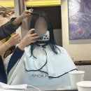 아모르헤어 - 성남시 중원구 | 양재역미용실 아모르헤어 다은부원장님 레이어드컷 후기, 컷트맛집 인정!