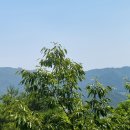 대전둘레산길(1구간) 이미지