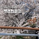 사진교실(야간) | 서울 근교 놀거리 과천 렛츠런파크 서울 경마공원 무료입장 야간개장 벚꽃 개화 상태