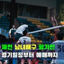 2026 제천 남자·여자배구 국가대표팀 평가전 경기·예매 일정