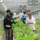 충현농장 이미지