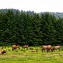 만승농장 이미지