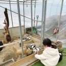 설매농장 이미지