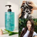 앙방 | 정수리냄새 고민 끝 앙방 티트리 쿨링샴푸 사용 후기