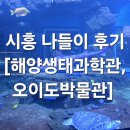 디엠제트박물관 야외(주차장) | 시흥 나들이 [해양생태과학관, 오이도박물관]