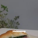 코지아이미
