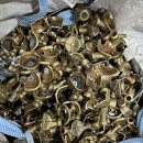 (주)지알아이 이미지