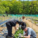 워니 농장 이미지