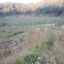 수원-0183 이미지