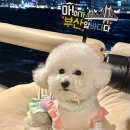 부산요트투어인생요트