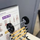 타이트짐 이미지