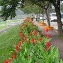 백세공원 이미지