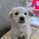 하빈로84길 이미지