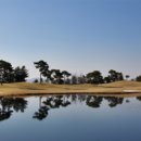 강산골프연습장 이미지