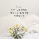 부산 현대백화점과 광복 롯데백화점 가족나들이 이미지