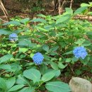 동막근린공원 이미지