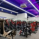 스포벡휘트니스 이미지