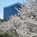 금토천 네이버블로그
