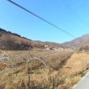 박암리 마을회관 이미지