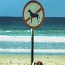 동네슈퍼 이미지